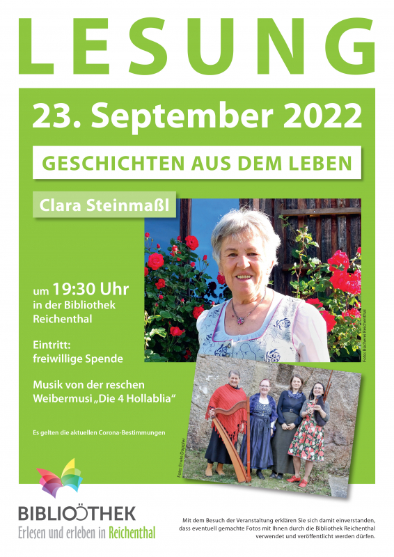 Plakat Lesung Steinmaßl